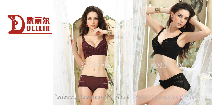 戴丽尔内衣