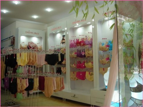戴丝玉内衣店铺形象