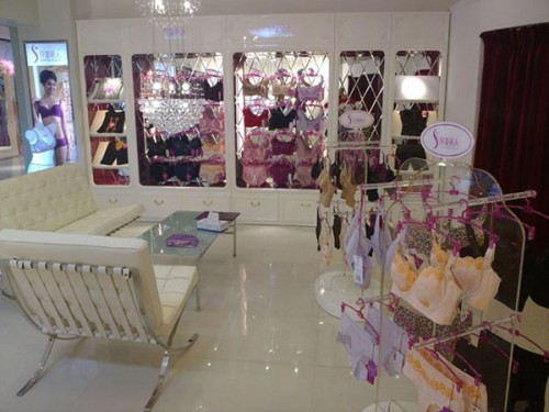 纤姿依人内衣店铺形象