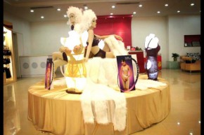 奥丽侬内衣 - OLENO店铺