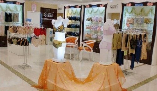 茜茜公主内衣店铺形象