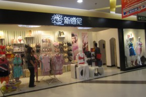 新感觉内衣店铺