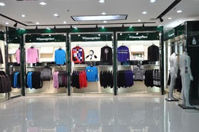 万胜维-Winsongwiser店铺