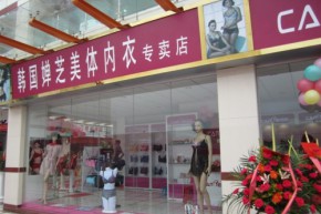 韩国婵芝-Caneige店铺