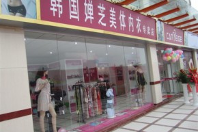 韩国婵芝-Caneige店铺
