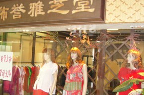 雅芝堂店铺