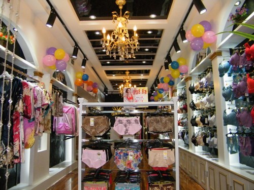 西施世家内衣店铺形象