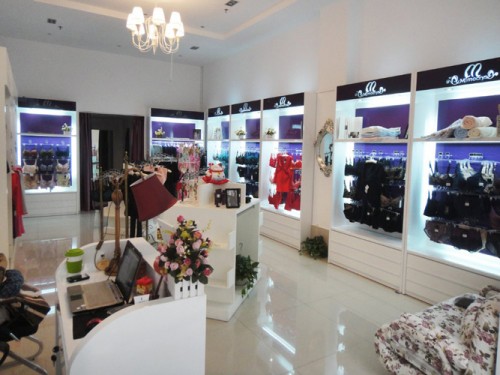 名媛闺秀内衣店铺形象