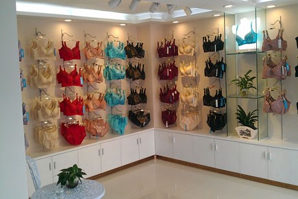 梦优蓝内衣店铺形象