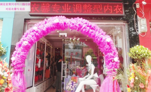 衣馨内衣店铺形象