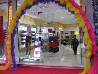 戴妃基尼内衣店铺展示