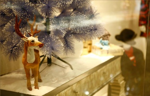 艾时依女装店铺形象