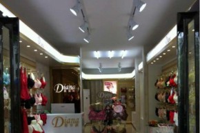 戴安娜店铺