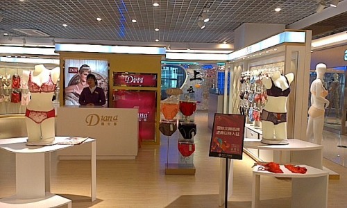 戴安娜内衣店铺形象