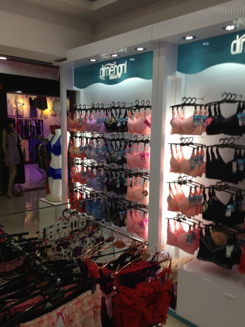 帝梦妮内衣店铺形象