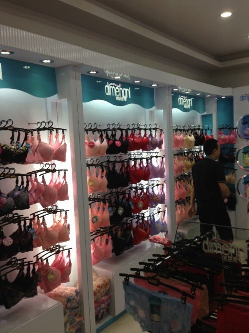 帝梦妮内衣店铺形象