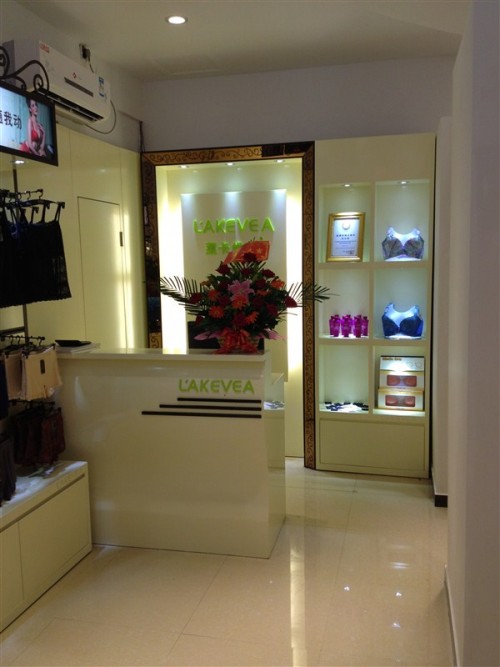 莱卡维雅内衣店铺形象