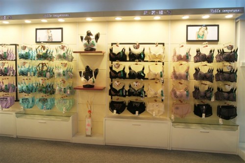 天资帼色内衣店铺形象