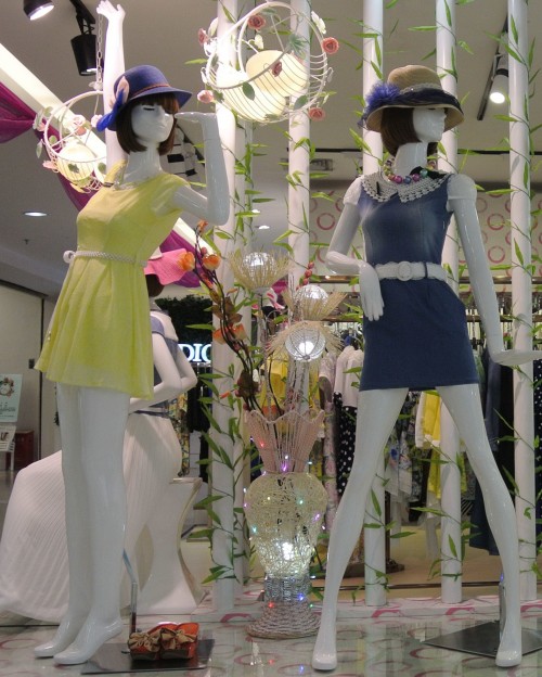 红楼知己女装店铺展示