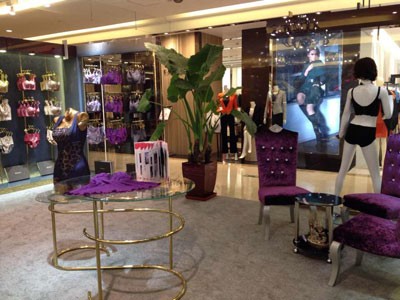 纤傲丹依内衣店铺形象