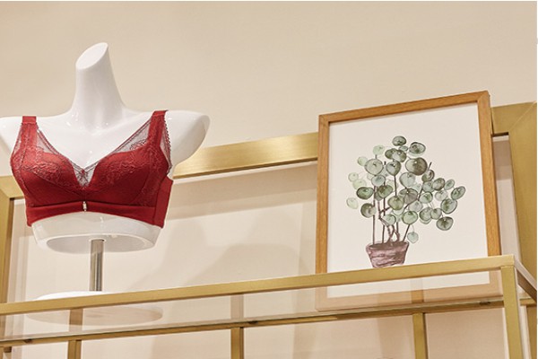 梵妳卡波内衣店铺形象