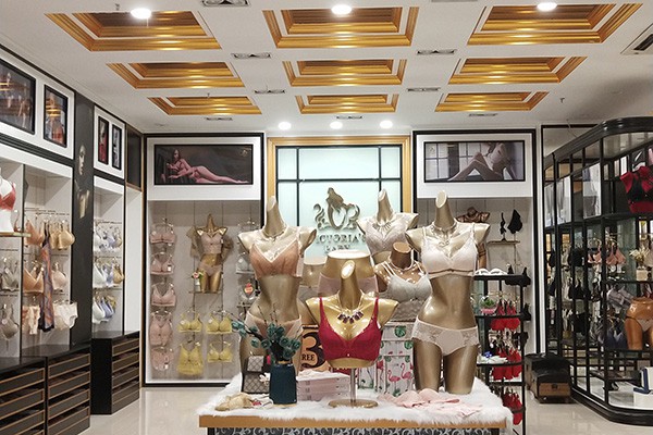 维多利亚的宝贝内衣店铺形象