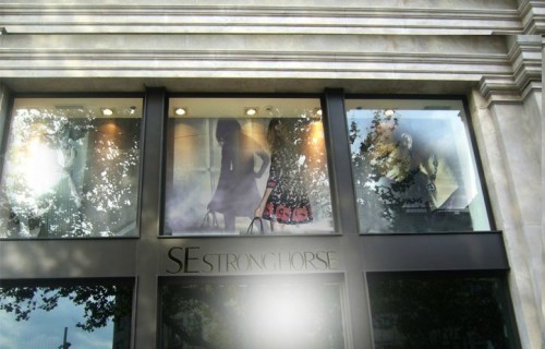 艾时依-SE stronghorse店铺