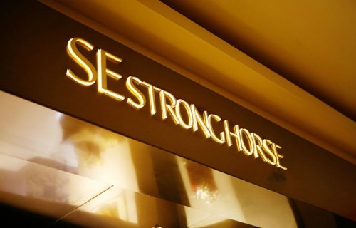 艾时依-SE stronghorse店铺