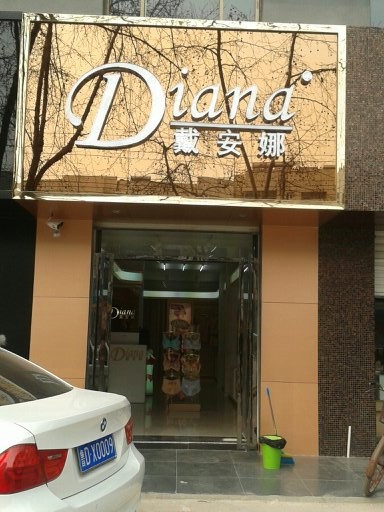 戴安娜店铺