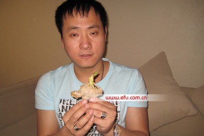 “章鱼保罗”神奇落户中国