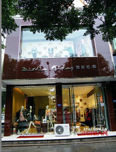 迪斯廷.凯-DistinKidny