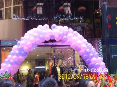 迪斯廷.凯-DistinKidny