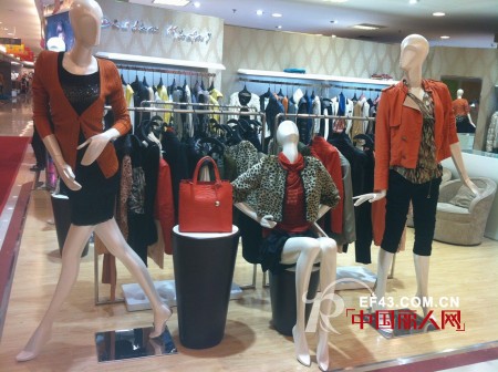 迪斯廷.凯-DistinKidny