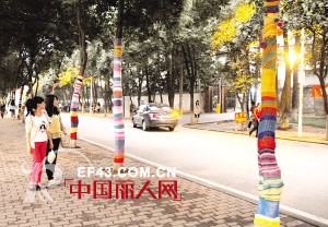 武汉纺织大学为树木穿毛衣