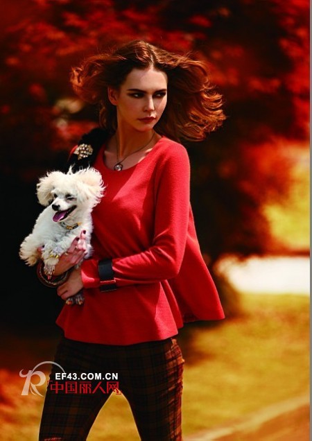 诺兰贝尔 - NOLANBELL