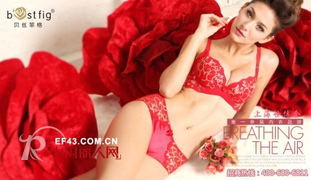 贝丝菲格—bestfig