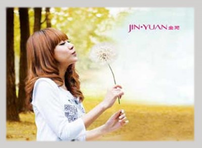 解析金苑品牌商业模式 “蝶翼商业模式” 实现共赢