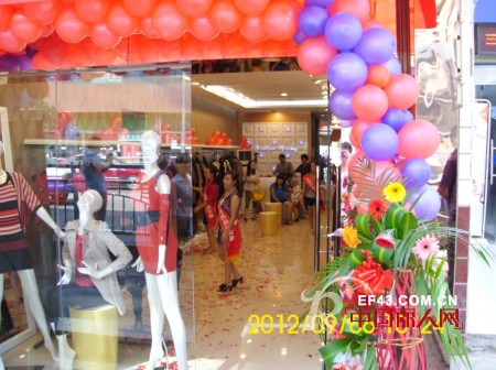 迪斯廷.凯-DistinKidny