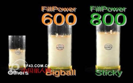 phenix(菲尼克斯)坚持“背后用功” 无“羽”伦比的芯解构