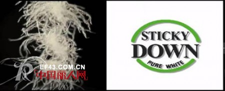 phenix(菲尼克斯)坚持“背后用功” 无“羽”伦比的芯解构