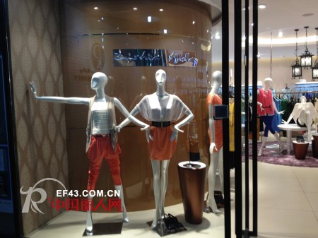 迪斯廷.凯-DistinKidny