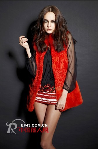 贝尔尼尼-BERNINI