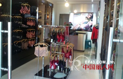 热烈庆祝浙江省丽水市大洋路凯诗芬内衣专卖店盛大开业