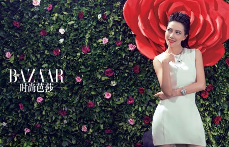 高圆圆2013开年封面曝光 红装加身好彩头