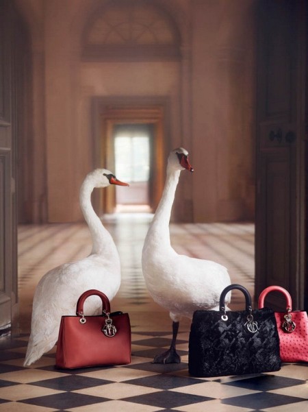 Dior2012圣诞系列梦幻广告大片演绎爱丽丝梦游仙境