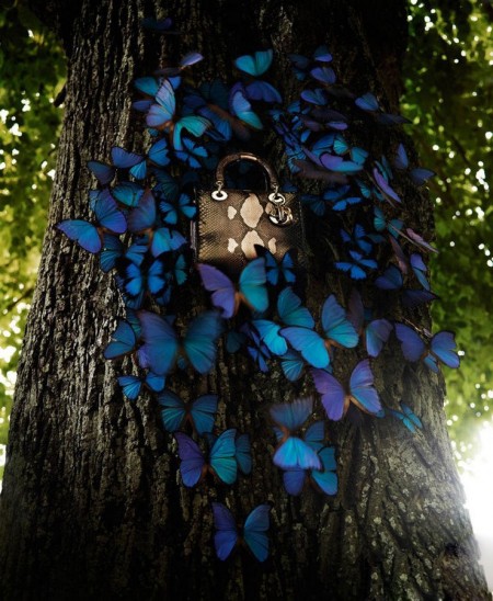 Dior2012圣诞系列梦幻广告大片演绎爱丽丝梦游仙境