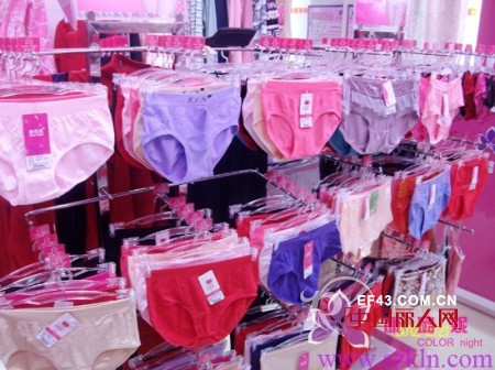 庆祝康璐妮深圳大浪内衣加盟店开业