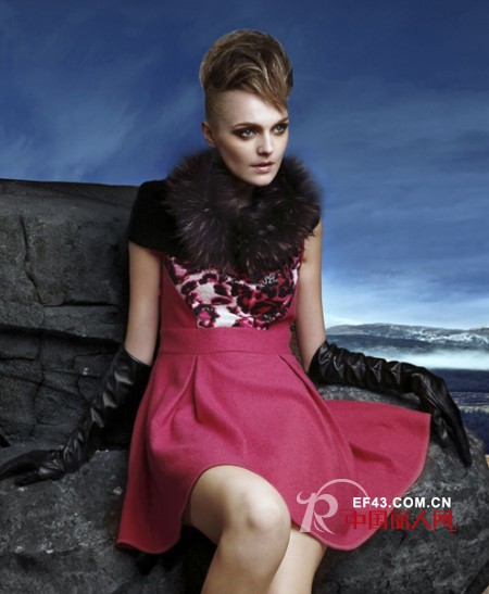 经典故事-JANESTORY