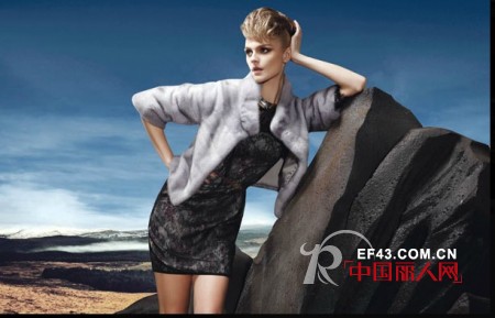 经典故事-JANESTORY