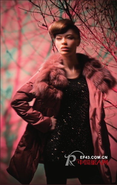 迪斯廷.凯-DistinKidny